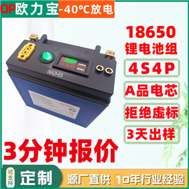18650-4S4P